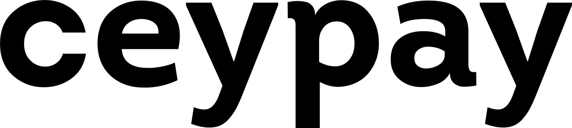 CeyPay Wordmark 02